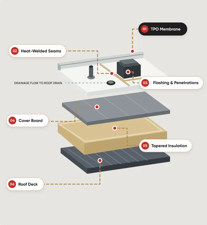 Diagram of a TPO roofing assembly showing its membrane and underlying layers.