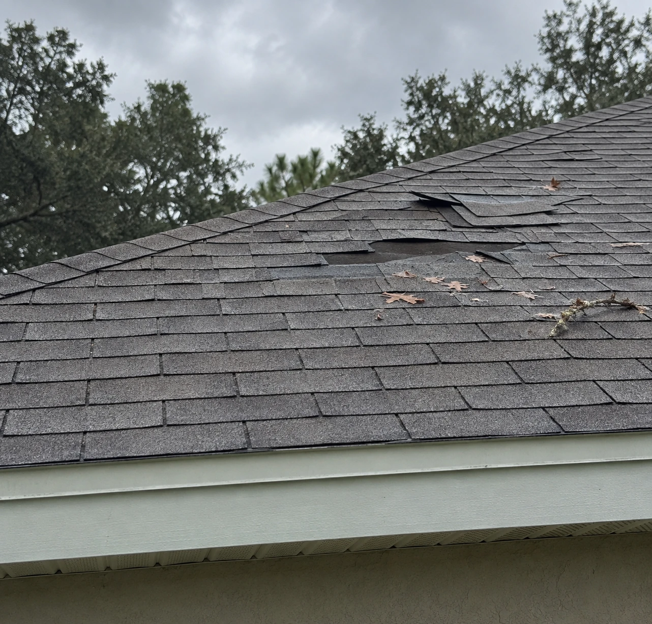Damaged shingles on a sloped roof.
