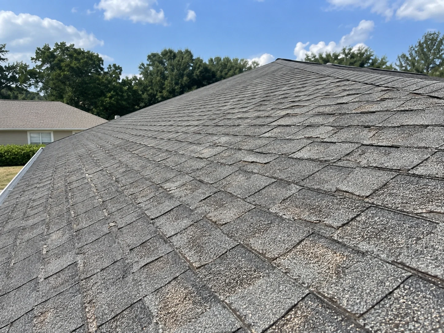 Widespread granule loss across an aging asphalt-shingle roof.