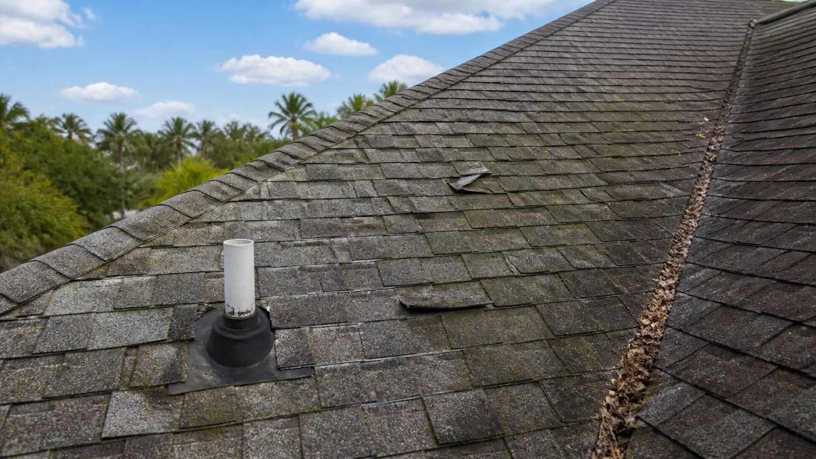 Florida shingle roof with algae staining, lifted edges, valley debris and a worn pipe boot