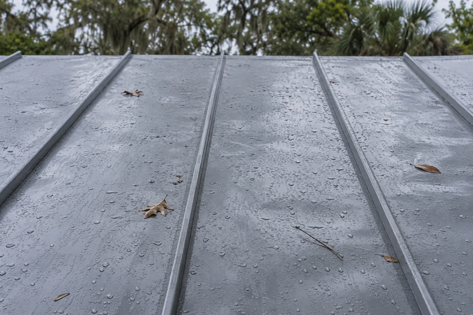 Wet metal roof panels after rain