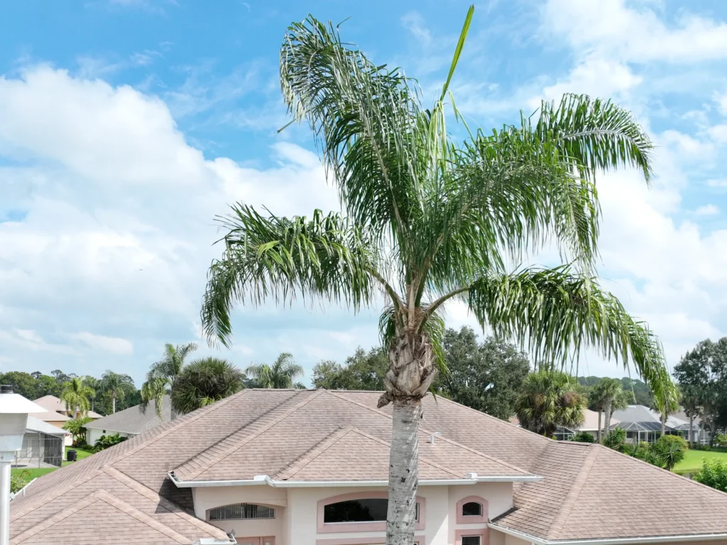 Street view of the completed New Smyrna roof