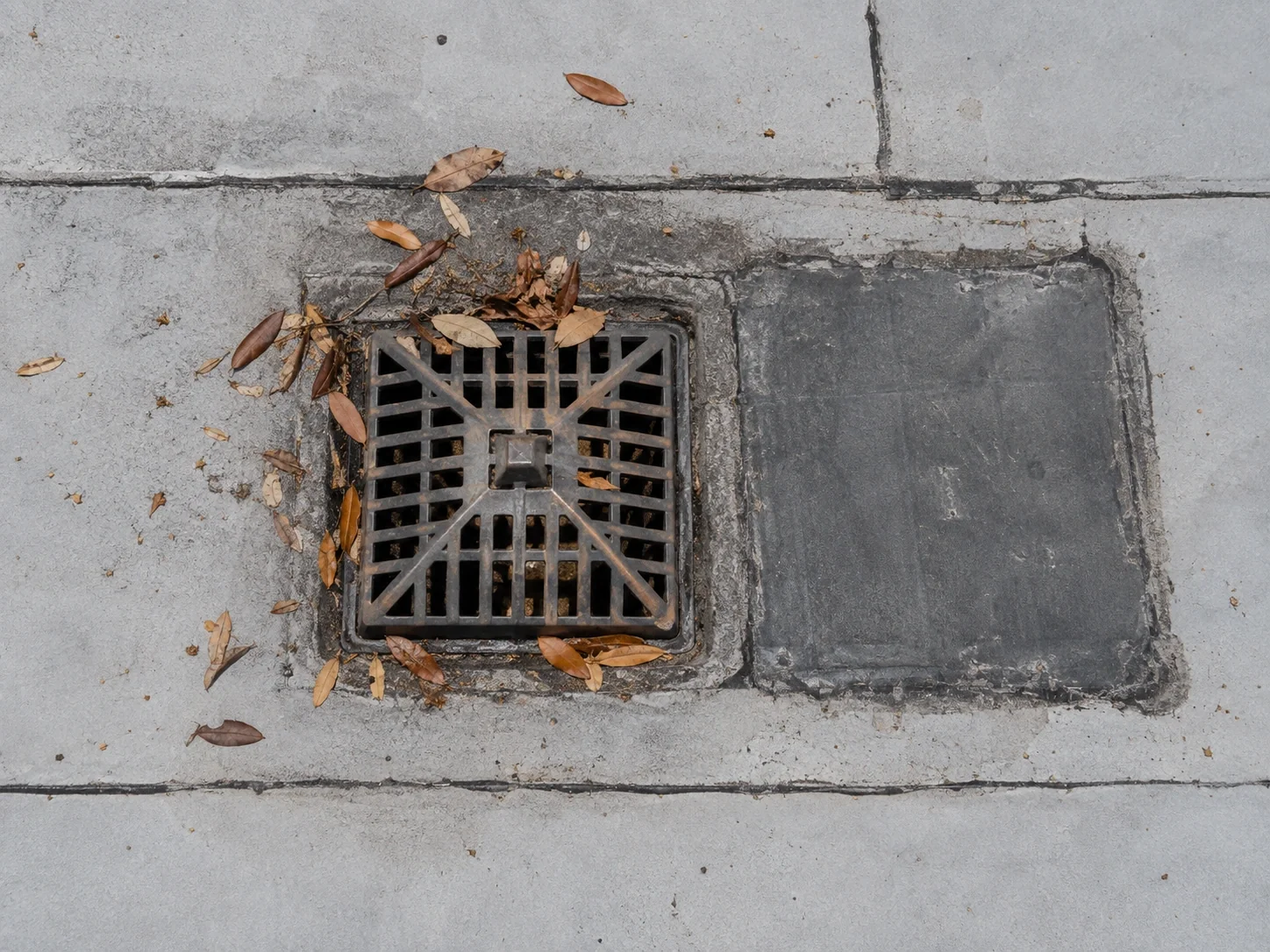 Roof drain with dry leaves and an older membrane patch nearby.
