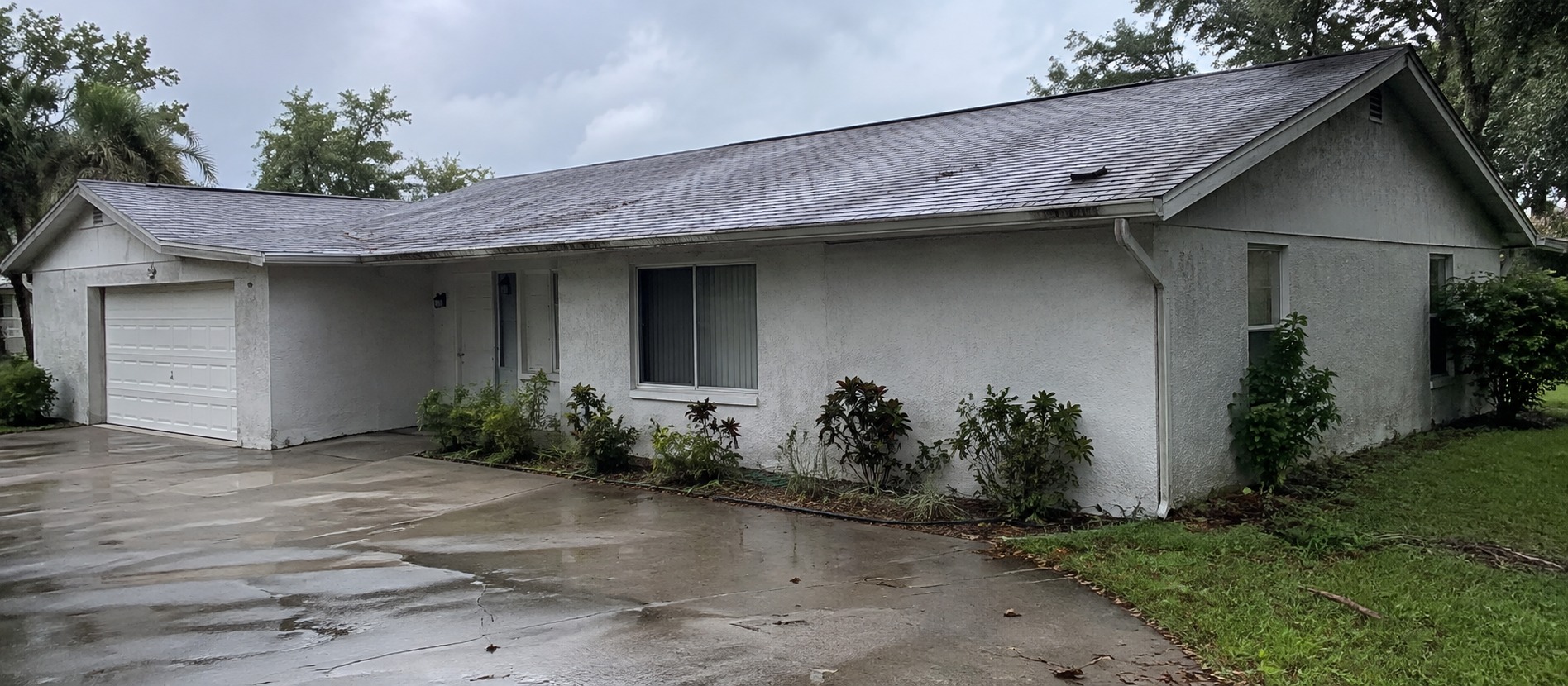 A house with a shingle roof and a wet driveway after rain.