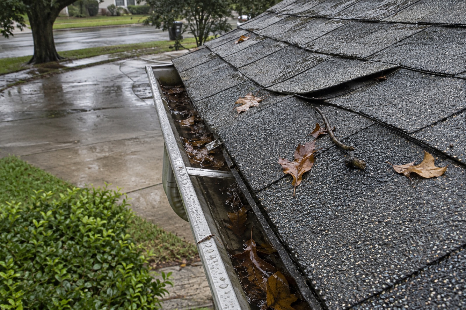 Asphalt shingles and debris after wind and rain