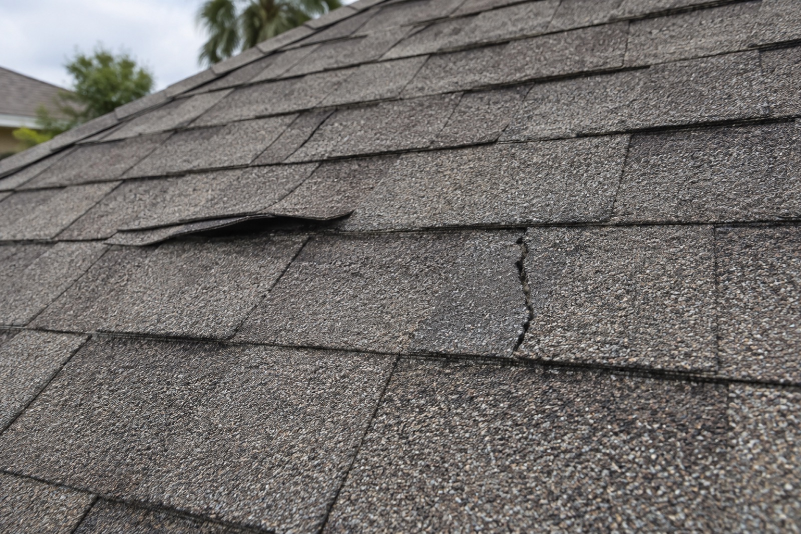 Damaged asphalt shingles on a residential roof