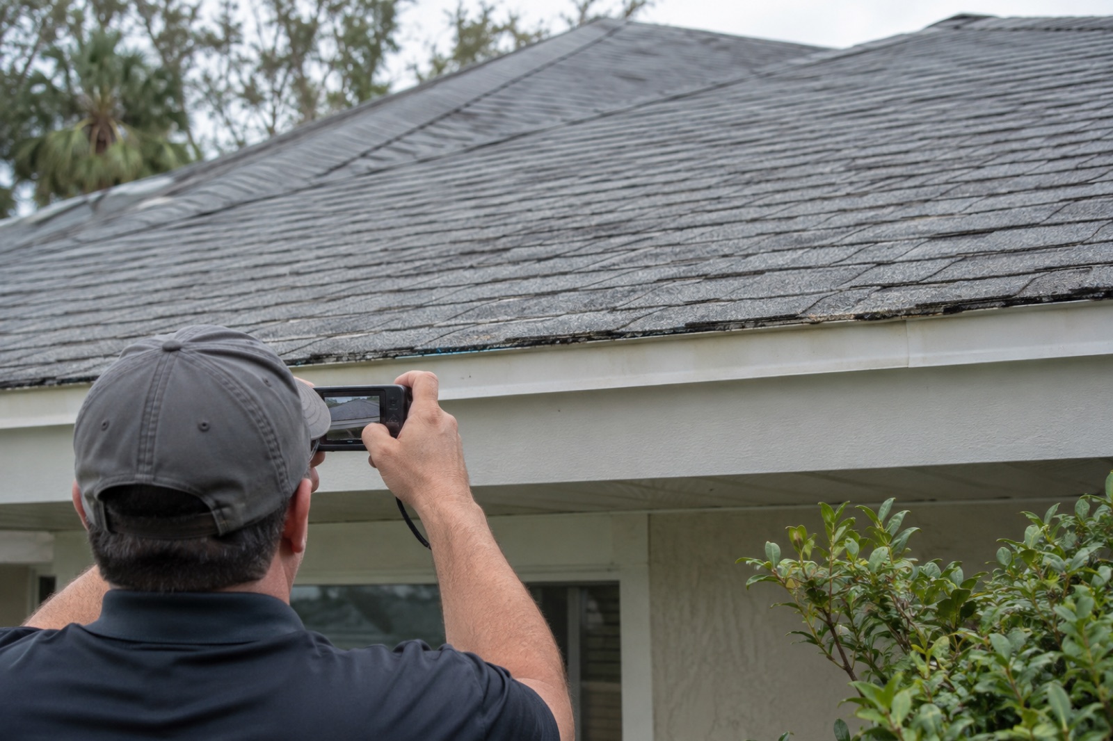 Ground-level review of an asphalt shingle roof