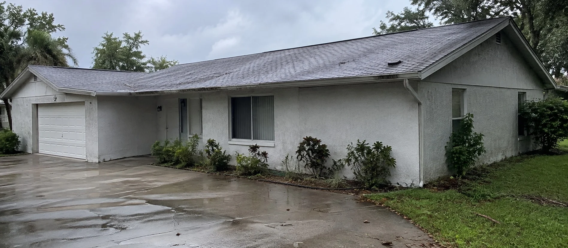 A house with a shingle roof and a wet driveway after rain.
